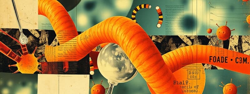 Nucleic Acids Overview