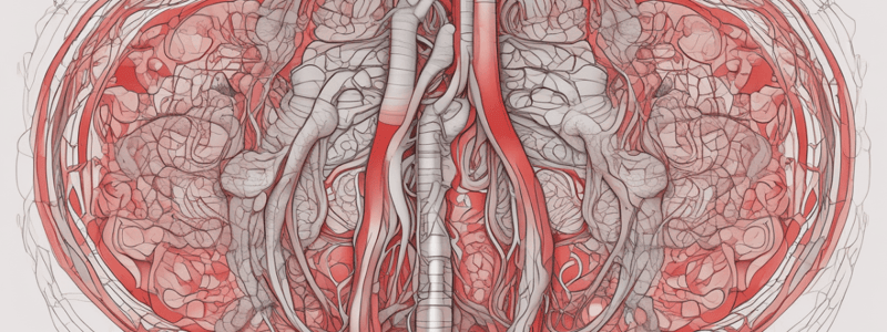 Circulatory System Overview