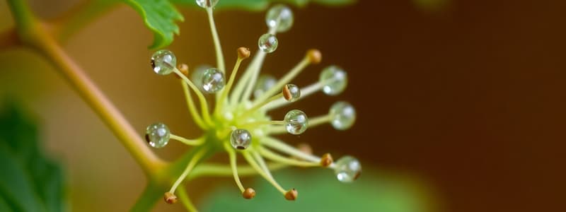 La Biología como Ciencia