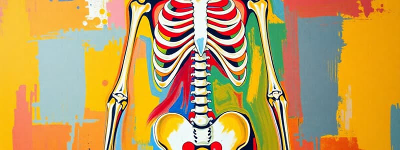 Classification of the Skeletal System