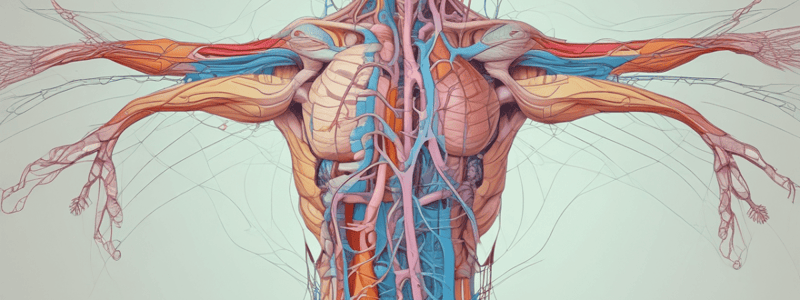 Neurophysiology: ANS- Pt 2