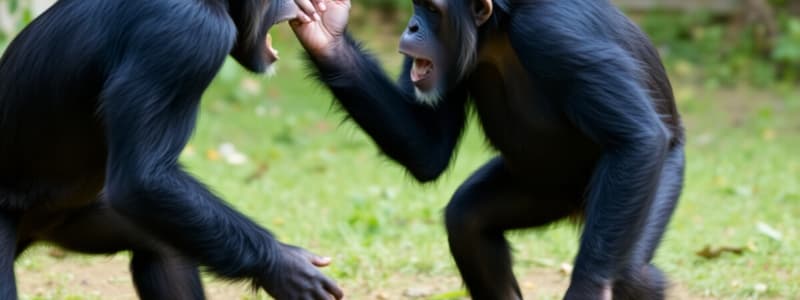 Chimpanzee Territorial Behavior Study