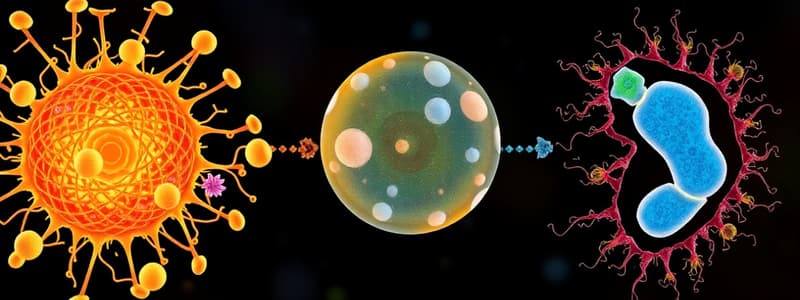 Biology Overview Quiz