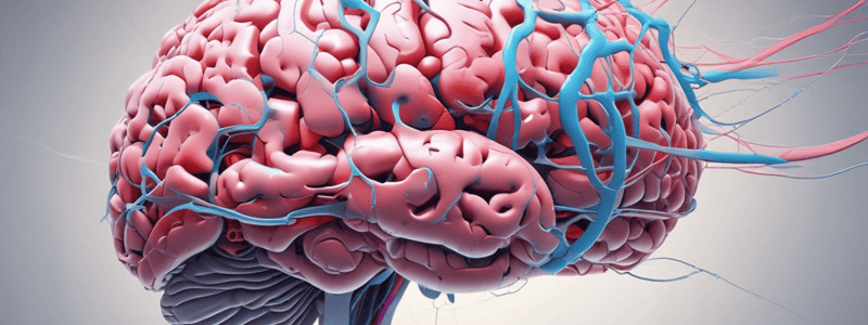 Neuroscience Studies: Basal Ganglia