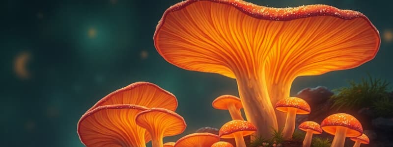 General Characteristics and Reproduction of Fungi