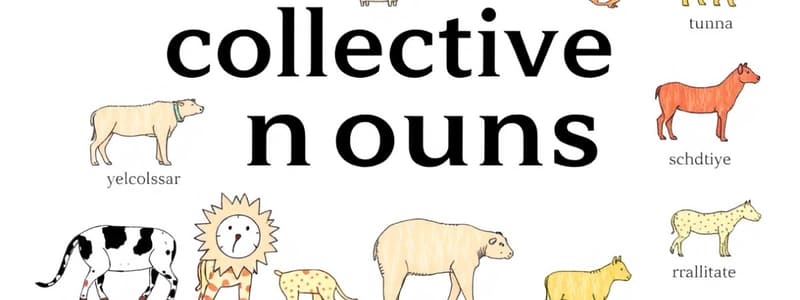 Collective Nouns Quiz