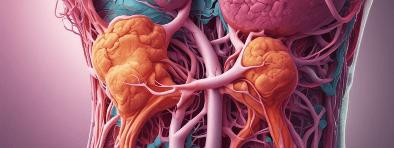 Granuloma Mediastinum and Fibrosis