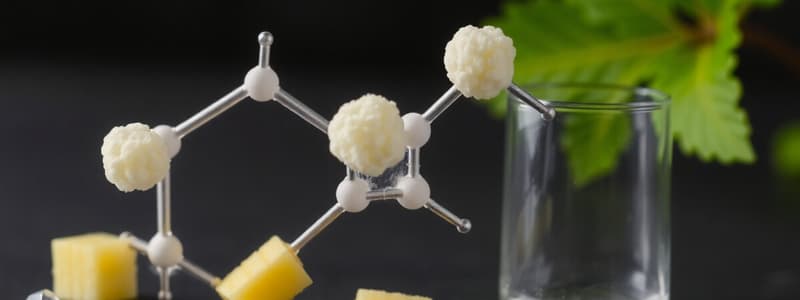 Chemist's View of Carbohydrates