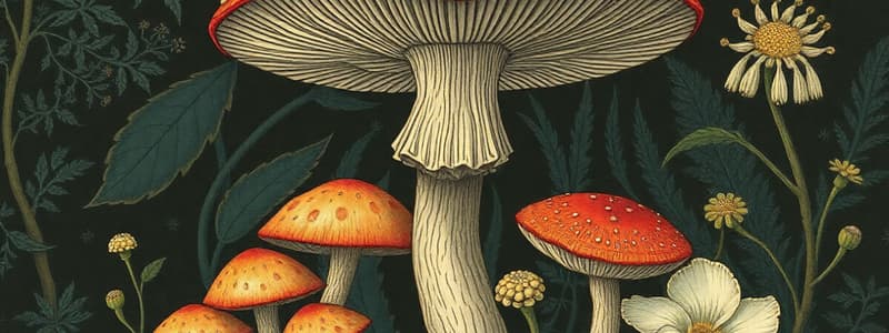 Plant Toxicity and Mushroom Poisoning