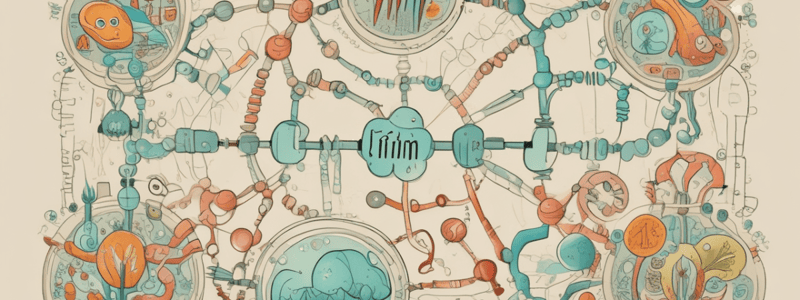 Amino Acid Metabolism and the Urea Cycle