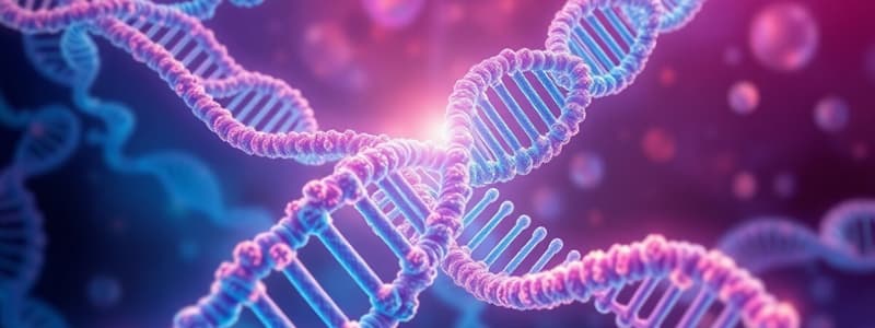 Biology Chapter 12: Protein Synthesis