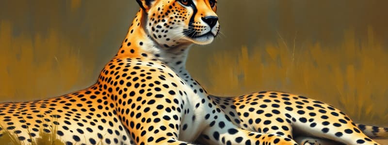 Cheetah Conservation Awareness