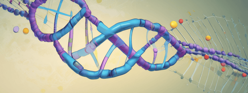 Nucleotide Structure and Composition