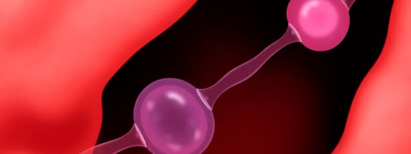 Ovulation and Follicle Development Quiz