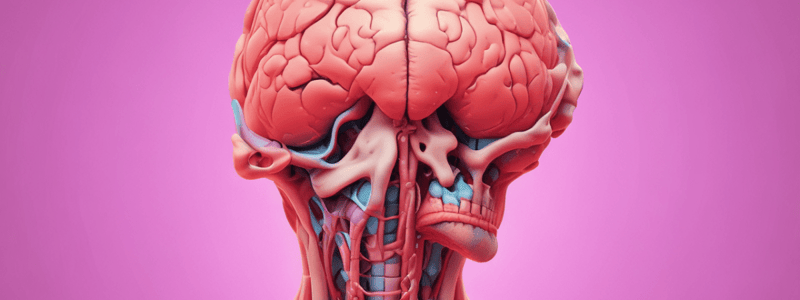 Pituitary Gland and Its Hormones