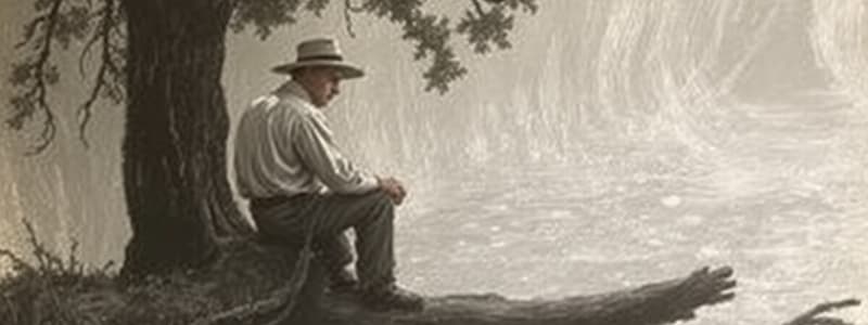 Mark Twain's The Adventures of Tom Sawyer