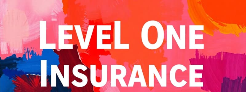 Overview of Level One Insurance