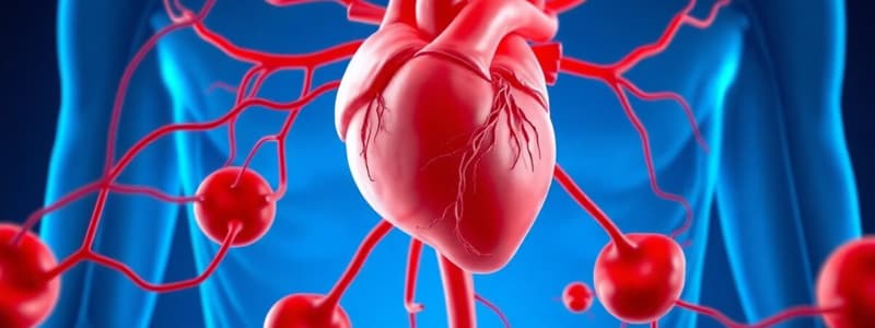 Circulatory System Overview