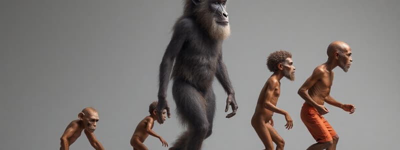 Proceso de Humanización e Hominización