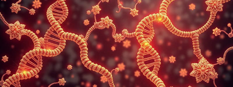 Nucleic Acids Overview