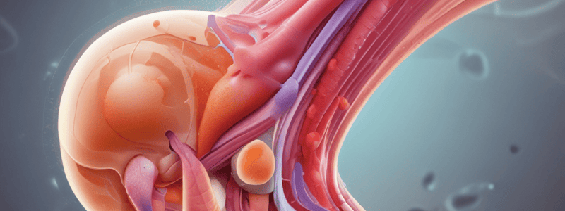 Bursitis MT-MT20 Techniques II Class 17: Bursitis