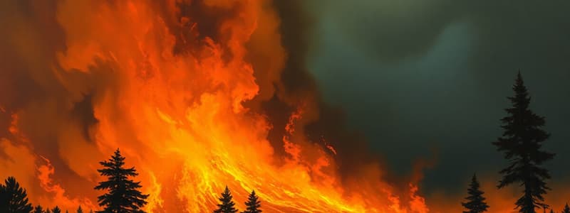 Incendios Forestales - Test 3