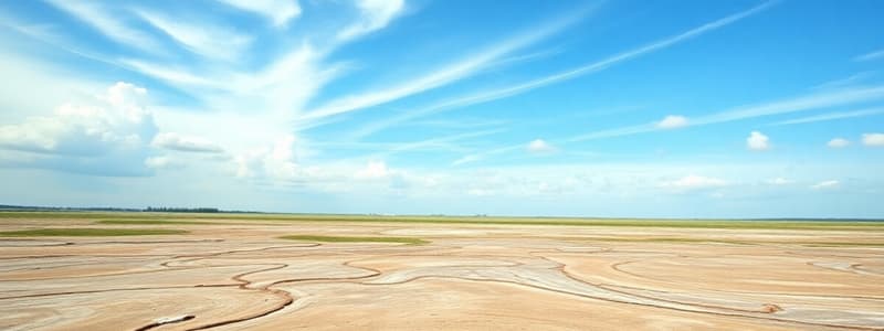 Dutch Landscapes and Pleistocene Epoch