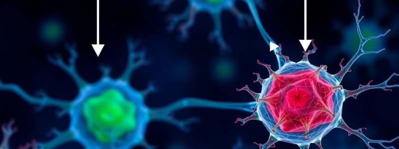 Cell Signaling: Notch and Wnt Pathways