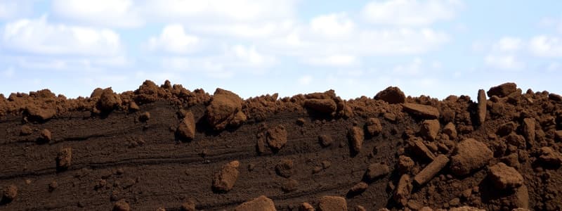 Soil Classification Fundamentals Quiz