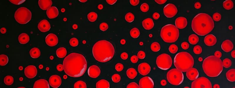 Haemolytic Anaemia Overview