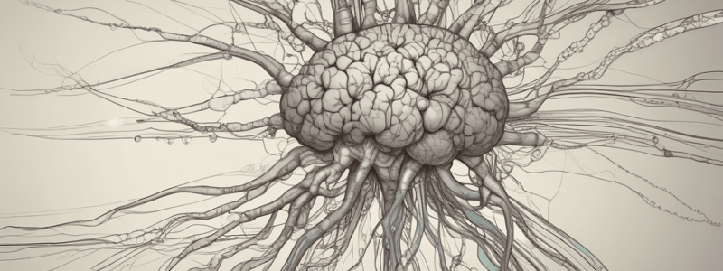 Peripheral and Autonomic Nervous System