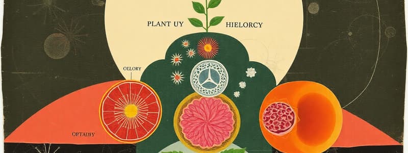 Plant Biology: Cell Hierarchy and Organ Systems