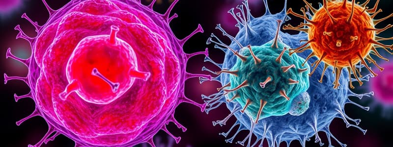 Biology Chapter 1.2: Cell Types