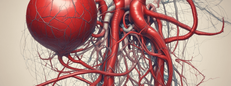 Superior & Inferior Vena Cava Quiz