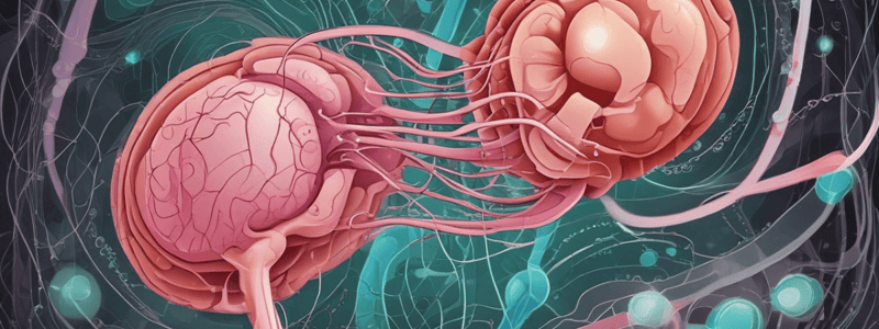 Tubuloglomerular Feedback Mechanism