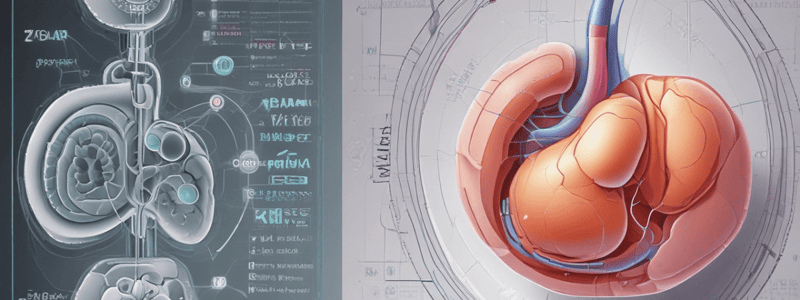 Assessing Tubular Function in Kidneys