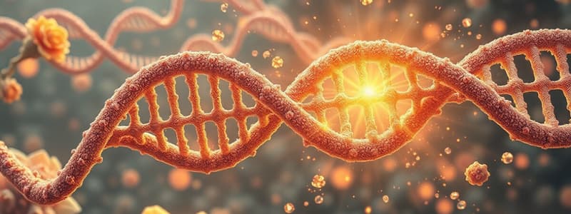 DNA Translation Process