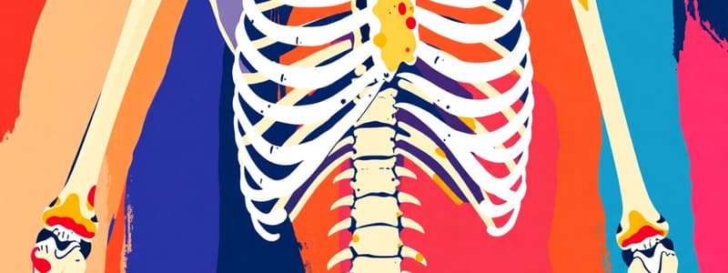 Skeletal Elements and Functions Quiz