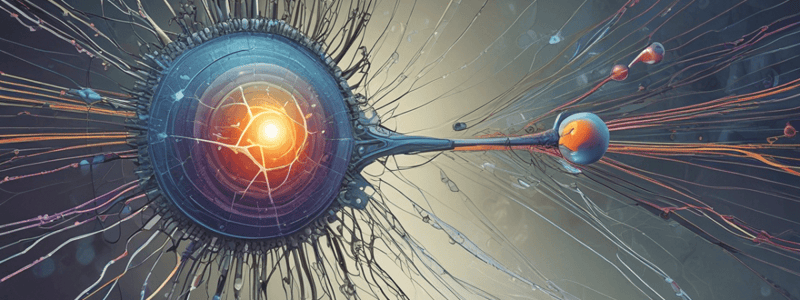 Neurophysiology: Vision- Pt 2