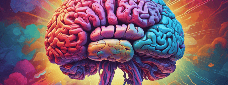 Brain Lobes Functions