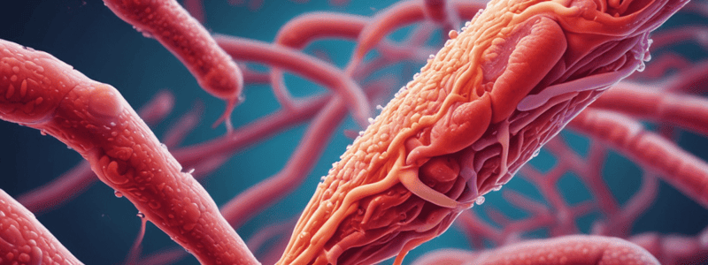 Borrelia recurrentis Quiz