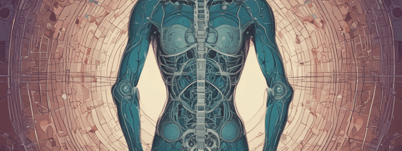 Human Body Structural Organization