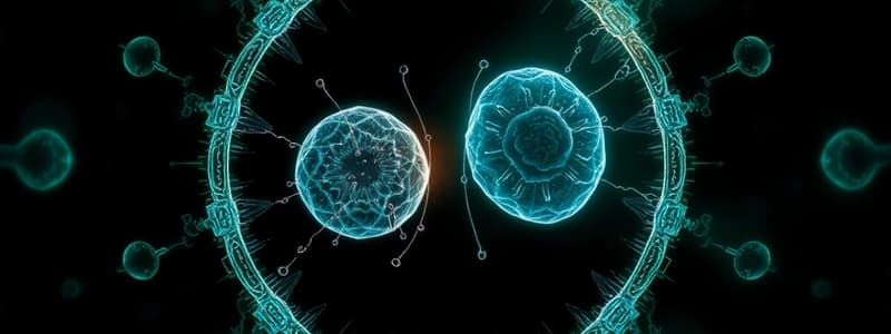 Cell Division in Eukaryotes