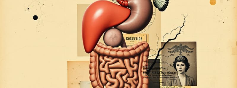 Control of the GI Tract Quiz