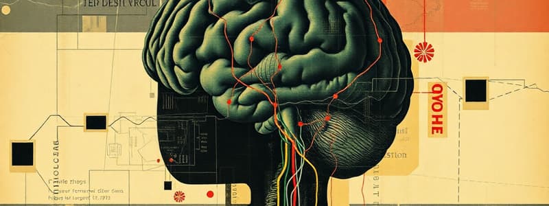 Vision, Neural Processing, and Color Vision
