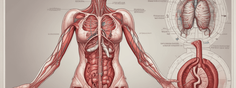 Blood Functions and Composition