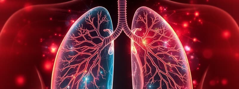 Lungs Function and Anatomy