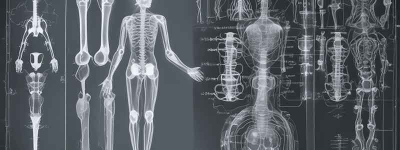 Radiography Image Receptor and Distortion