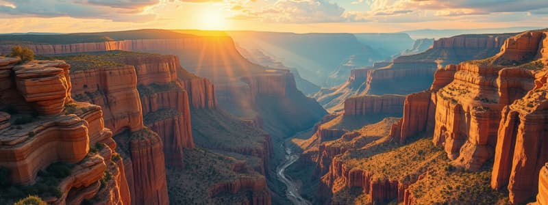 Exploring the Grand Canyon