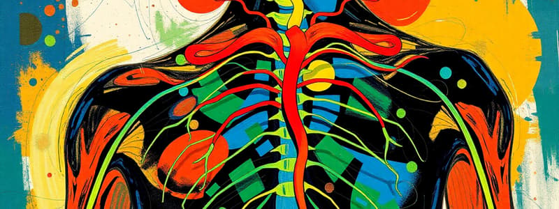 Nervous System Overview Quiz